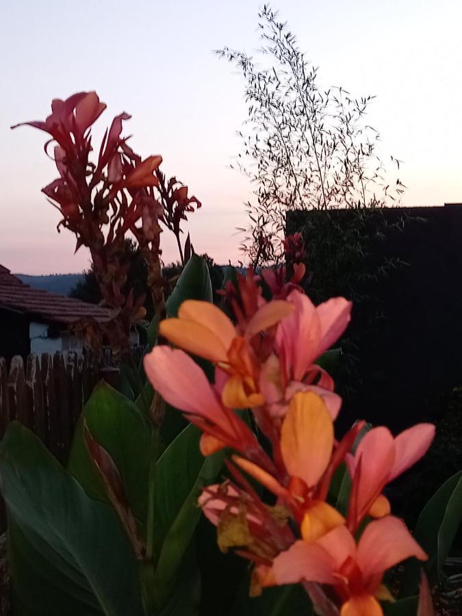 上米拉诺瓦茨 Skriveni Raj旅馆 外观 照片