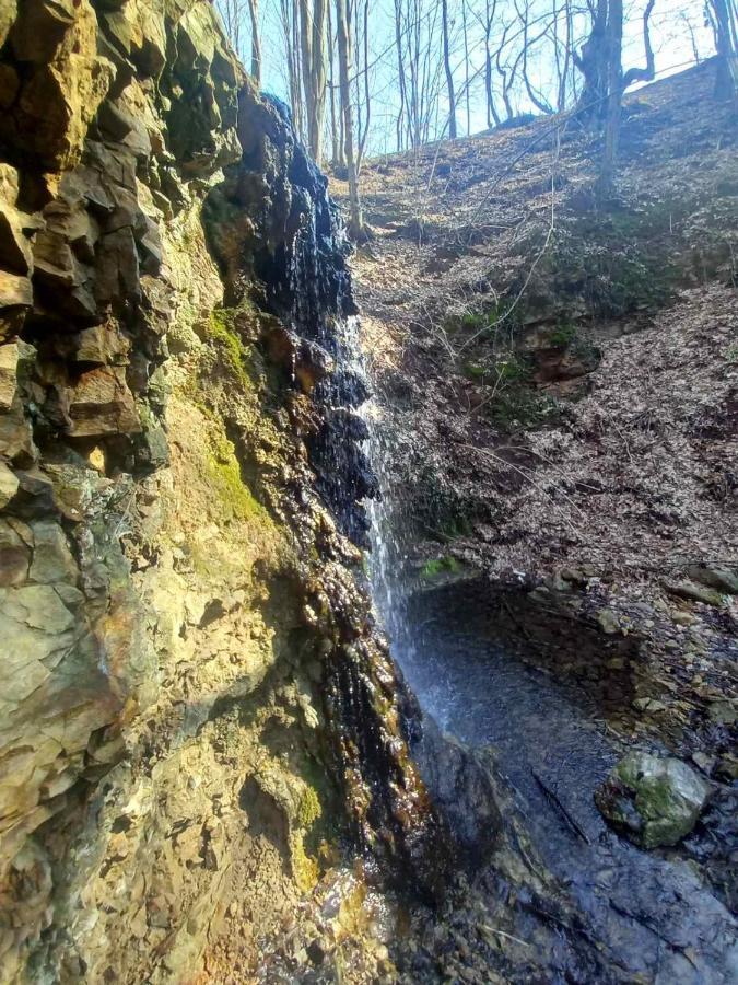 上米拉诺瓦茨 Skriveni Raj旅馆 外观 照片